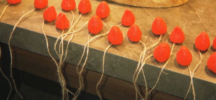 Fileira de sabonetes em forma de morango, cada um com um cordão de juta