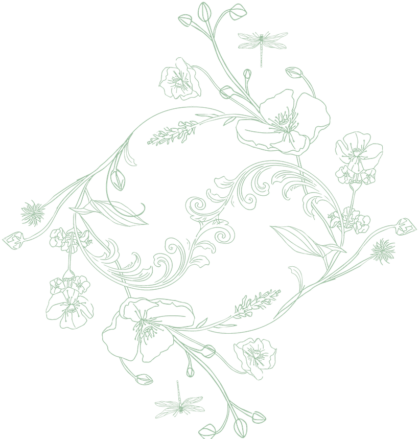 Ornamento botânico com papoulas, lavandas e libélulas